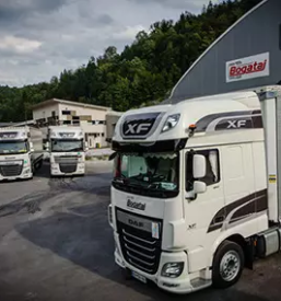 Cestni tovorni prevozi v nemcijo