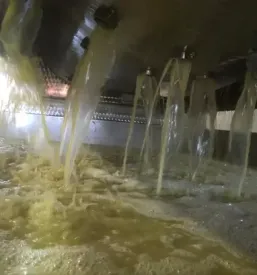 Domača vina Bizjak