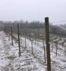 Turistična kmetija Kojsko
