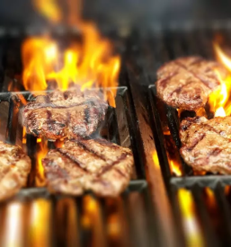 Jedi z zara nova gorica in okolica