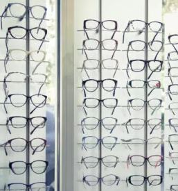 Korekcijska ocala savinjska