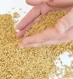 Kvalitetna gnojila vransko