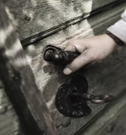 Peneca vina koper okolica