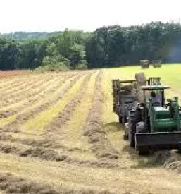 Poceni prodaja kmetijskega orodja Vransko