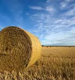 Ugodna prodaja kmetijskega orodja Vransko