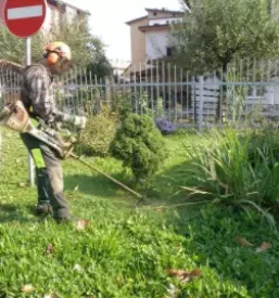 Storitve za obcane kocevje
