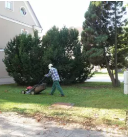 Storitve za obcane kocevje