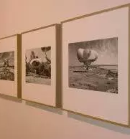 Transport von kunstwerken eu