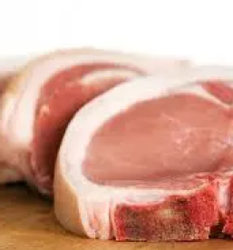 Zakol živali Primorska