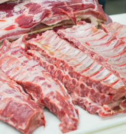 Ugodna klavnica na Primorskem