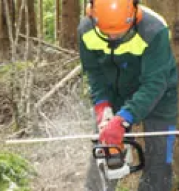 Delovna zascitna oprema slovenija