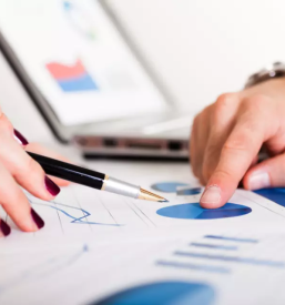 Dober racunovodja novo mesto