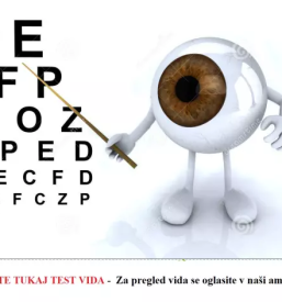 Korekcijska ocala savinjska