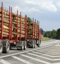 Odkup in odvoz lesa koper