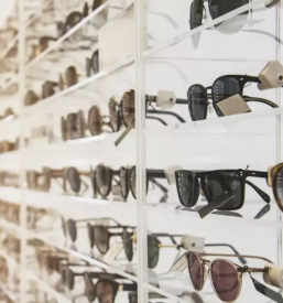 Pregledi vida sentjur