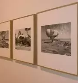 Prevozi umetnin slovenija tujina