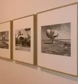Prevozi umetnin slovenija tujina