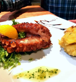 Prostor za zakljucene druzbe nova gorica okolica