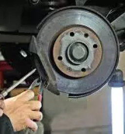 Motrio servis brezovica