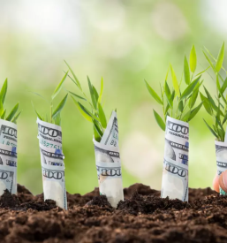 Moznost dodatnega zasluzka primorska