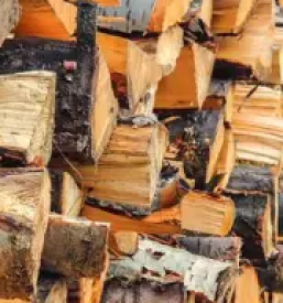 Odkup in prodaja hlodovine cela slovenija