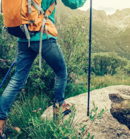 Organizirani planinski pohodi Gorje, Gorenjska