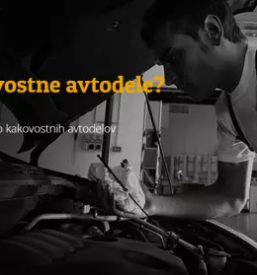 Prodaja rezervnih delov ljutomer