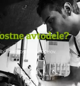 Rezervni deli ljutomer