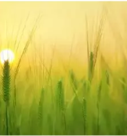 Turisticna kmetija pohorje