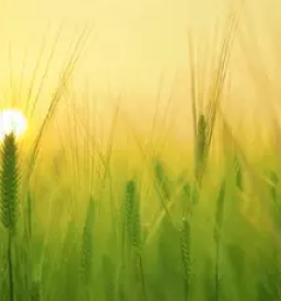 Turisticna kmetija stajerska