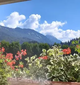 Ugodne sobe gorenjska