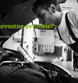 Ugodni rezervni deli pomurje