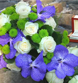 Fotografiranje dogodkov gorenjska