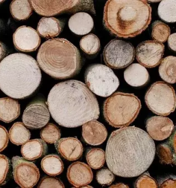 Odkup hlodovine dolenjska