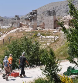 Geofizikalne raziskave Slovenija