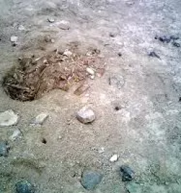 raziskave za geotehniko