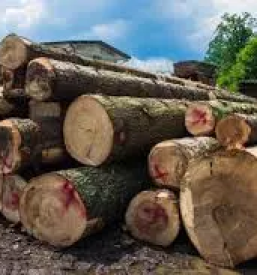 Izdelava brunaric in vrtnih hisk dolenjska