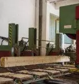 Montazne lesene hise riko hise