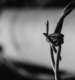 Pletenje jeklenih vrvi slovenija