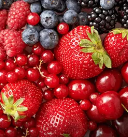 Predelava sadja prekmurje