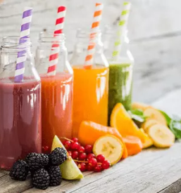 Predelava sadja stajerska