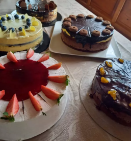Turistična kmetija okolica Trebnjega