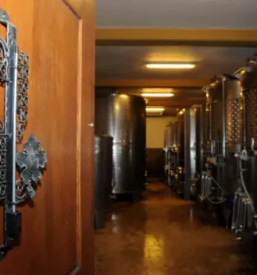 Dober cvicek na dolenjskem