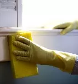 Kvaliteten cistilni servis savinjska