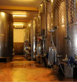 Kvaliteten cvicek dolenjska