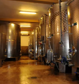 Modra frankinja dolenjska