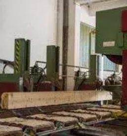 Odkup in razrez hlodovine lesa po narocilu dolenjska