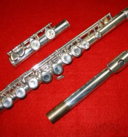 Servis glasbil koroska