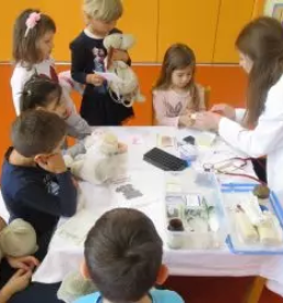 Vzgoja otrok sentilj