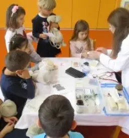 Vzgoja otrok sentilj